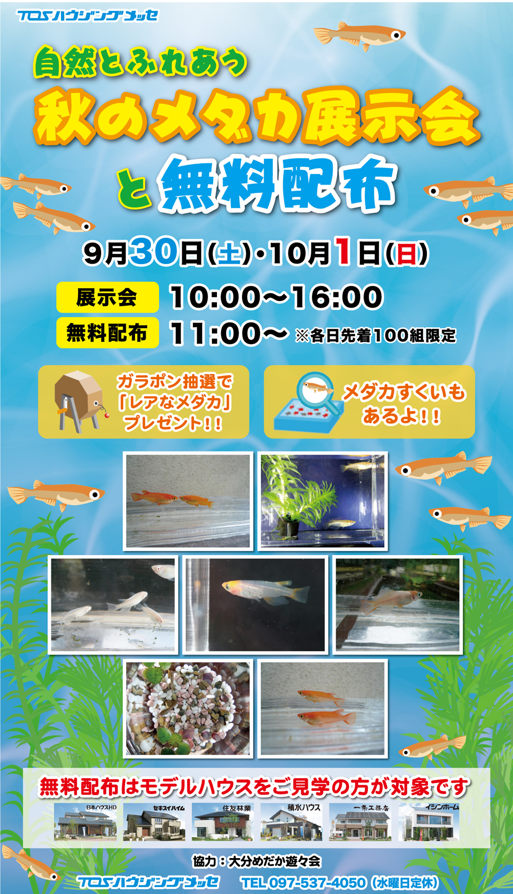 秋のメダカ展示会と無料配布 Tosハウジングメッセ