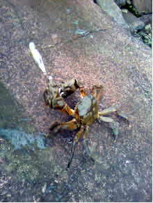 田辺でございます アナウンサーブログ Tosテレビ大分