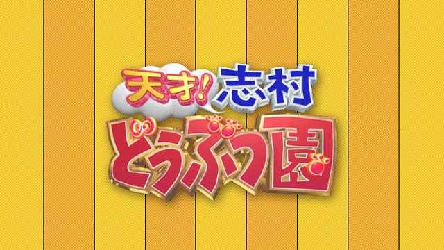 天才 志村どうぶつ園 特別編あれから１年 志村園長の蒔いた種が花開いたよ ｓｐ おすすめ番組 番組情報 Tosテレビ大分